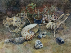 Прасковья Кочегова, 13лет. ДХШ г. Сочи. пр. Беликов А М 2023